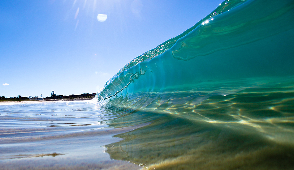 Ocean Jelly. Photo: <a href=\"https://www.warrenkeelanphotography.com.au/\" target=_blank>Warren Keelan</a>.