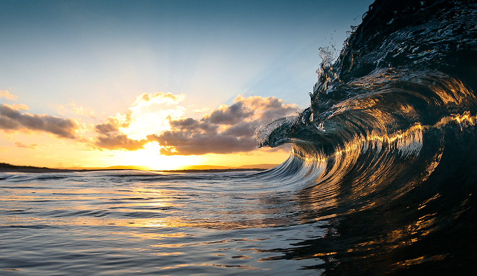 Sea Hawk. Photo: <a href=\"https://www.warrenkeelanphotography.com.au/\" target=_blank>Warren Keelan</a>.