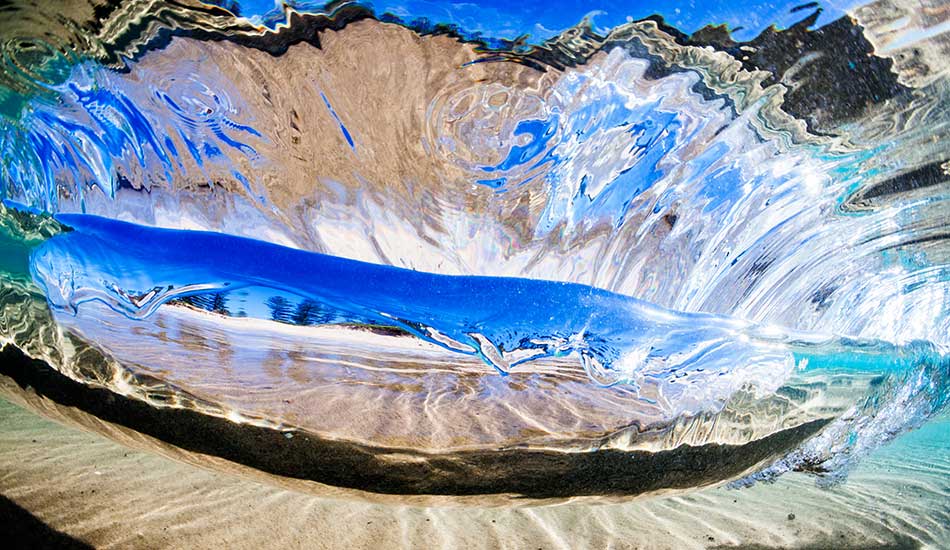 Blue Fringe. Photo: <a href=\"https://www.warrenkeelanphotography.com.au/\" target=_blank>Warren Keelan</a>