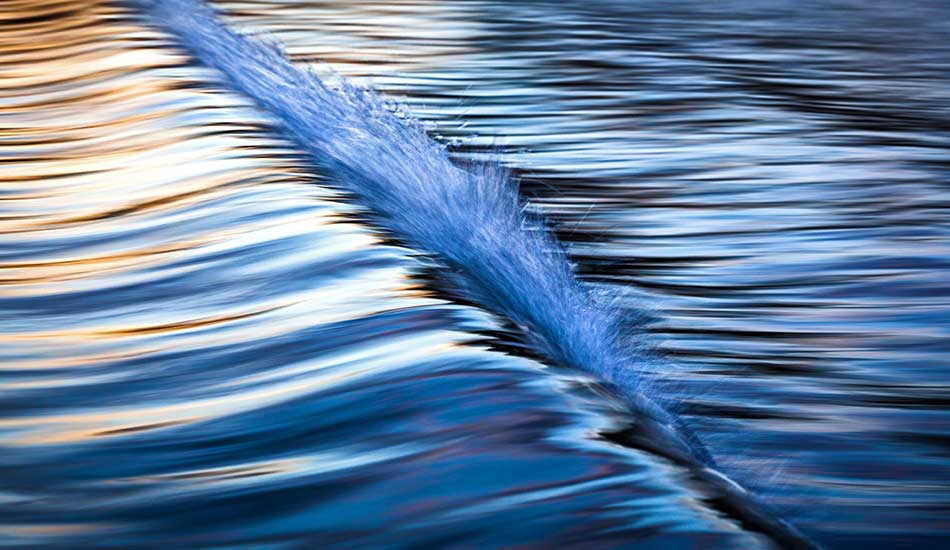 Frosted Blue. Photo: <a href=\"https://www.warrenkeelanphotography.com.au/\" target=_blank>Warren Keelan</a>