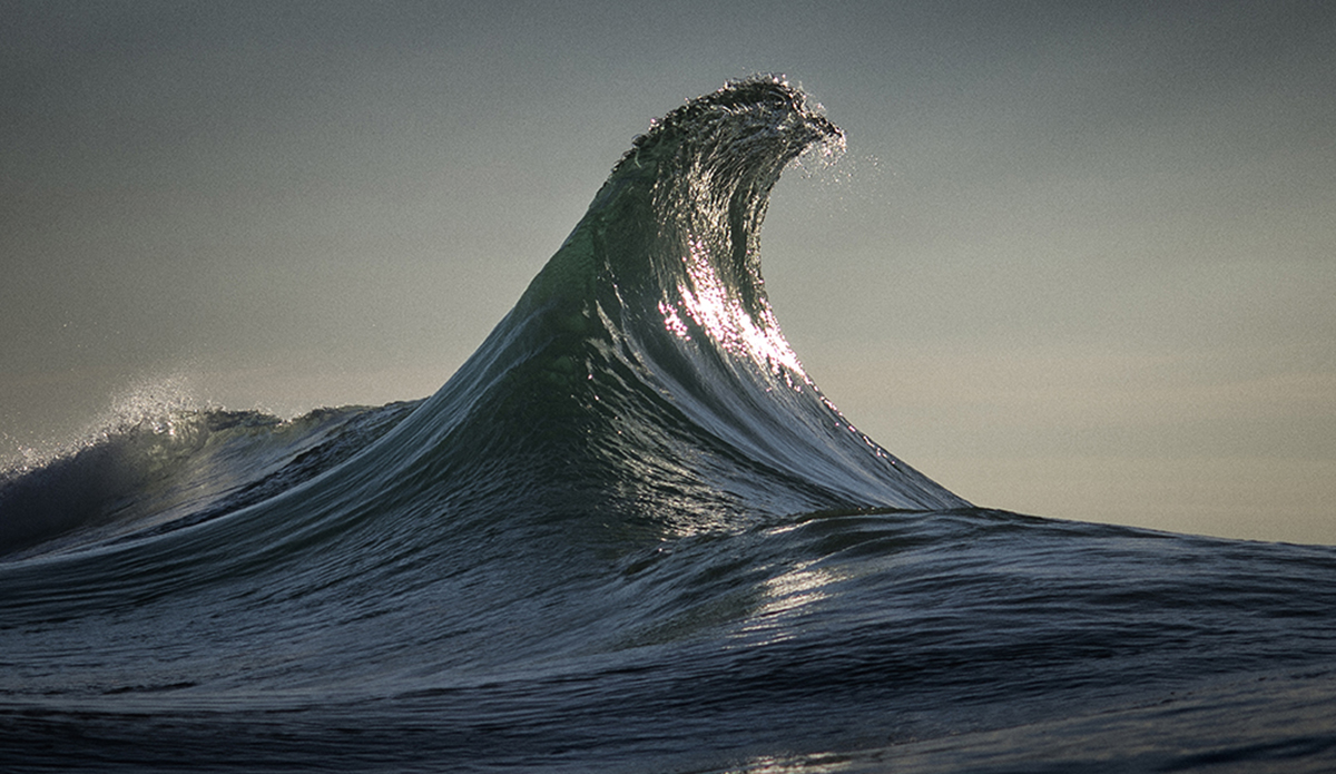 Photo: Ray Collins