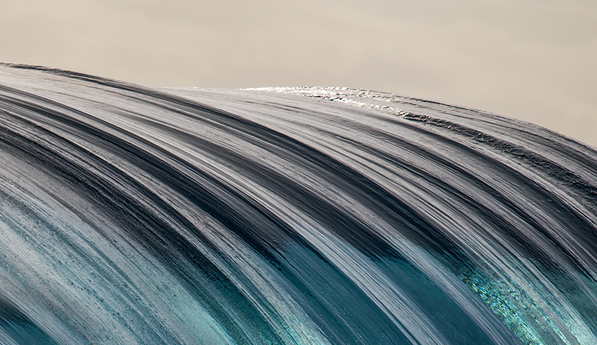 Photo: Ray Collins
