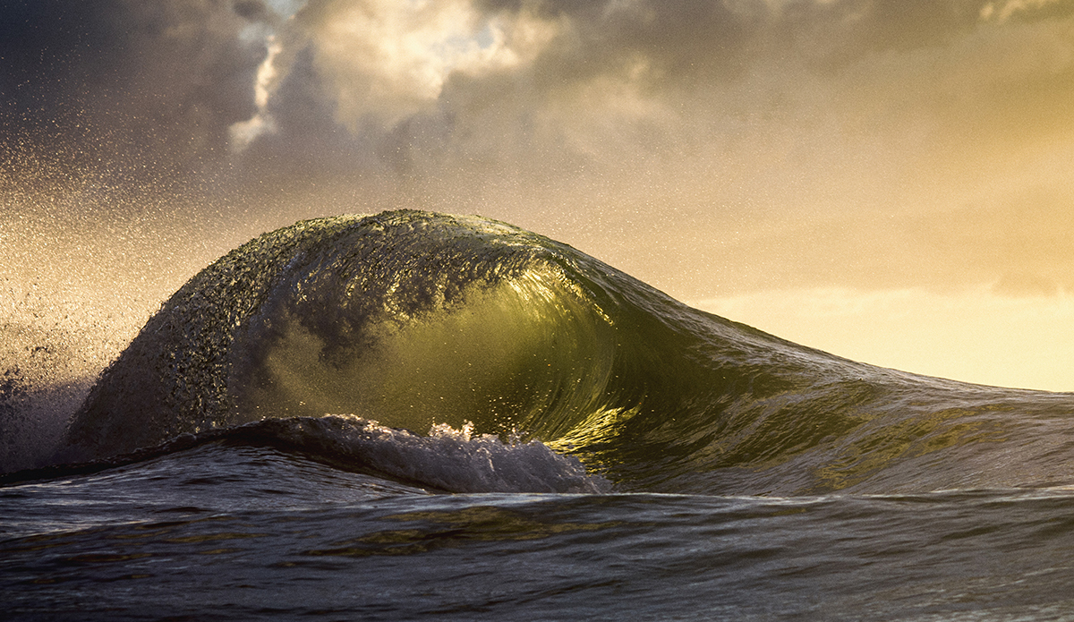Photo: Ray Collins