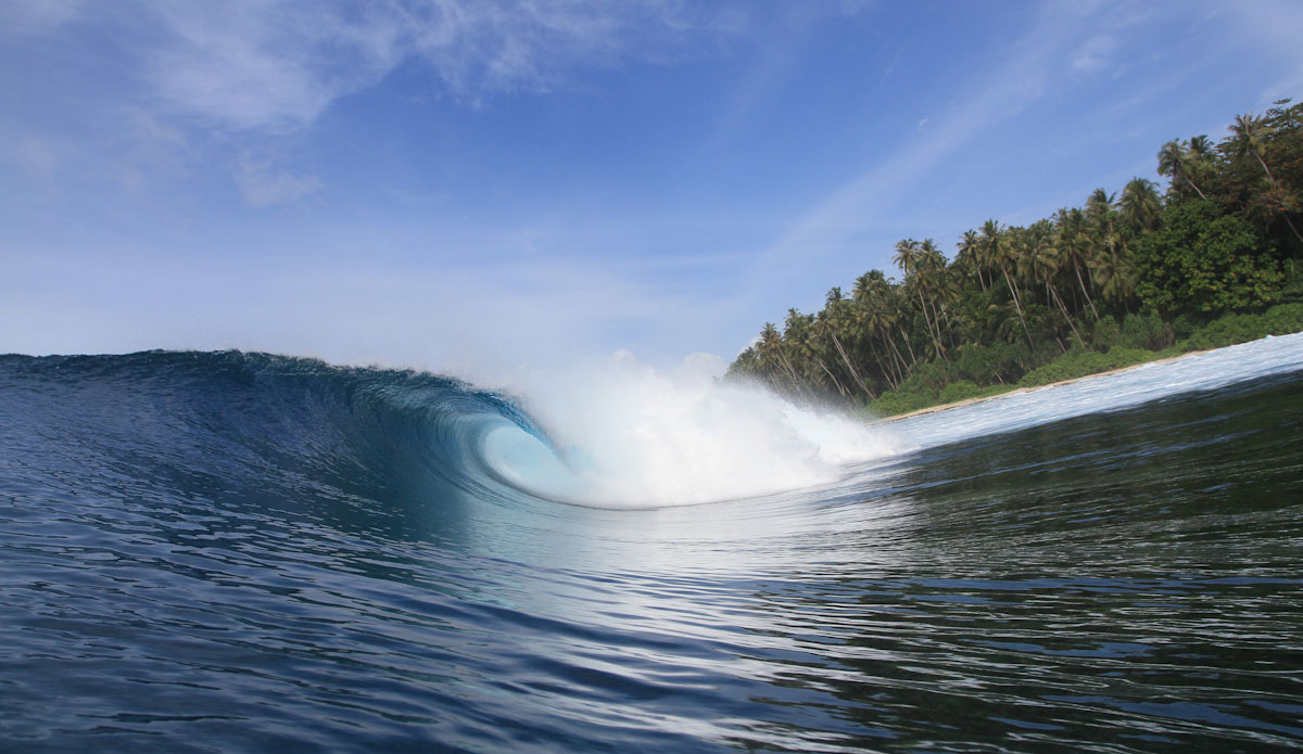 It doesn\'t get much better than this. Photo: Brian Blank