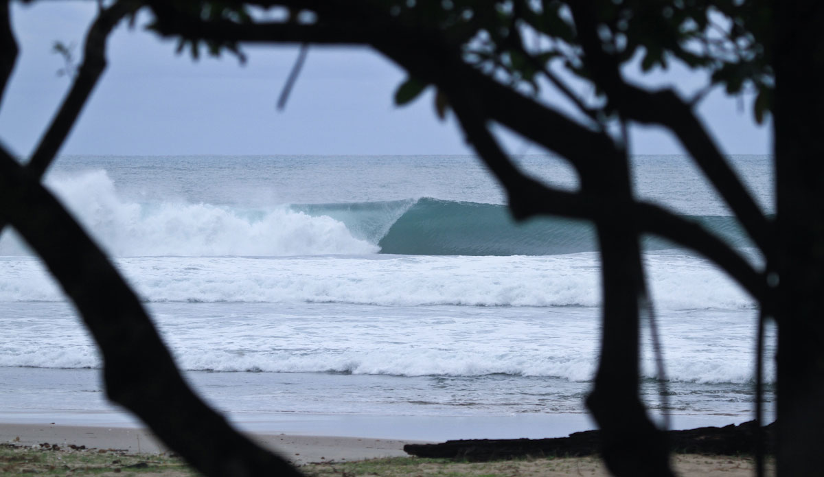 The view before you start sprinting. Photo: Brian Blank