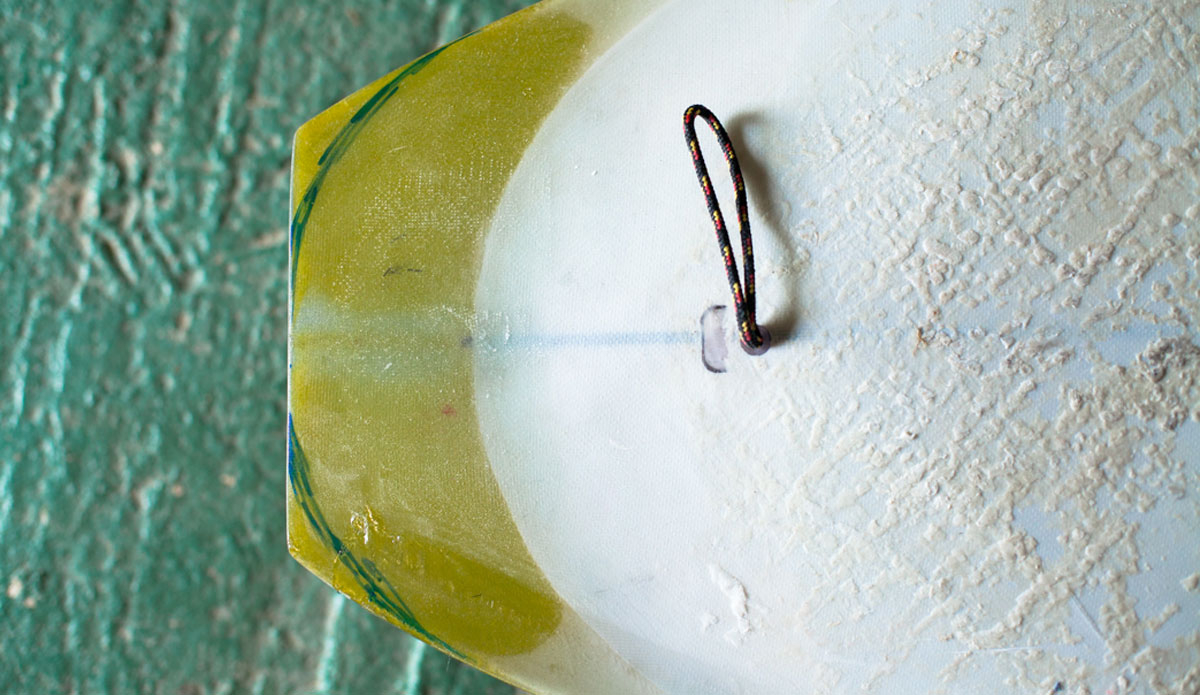 Another one of Lovelace\'s unique tails. Photo: <a href=\"https://instagram.com/whalebones\"> Mark Rose</a>