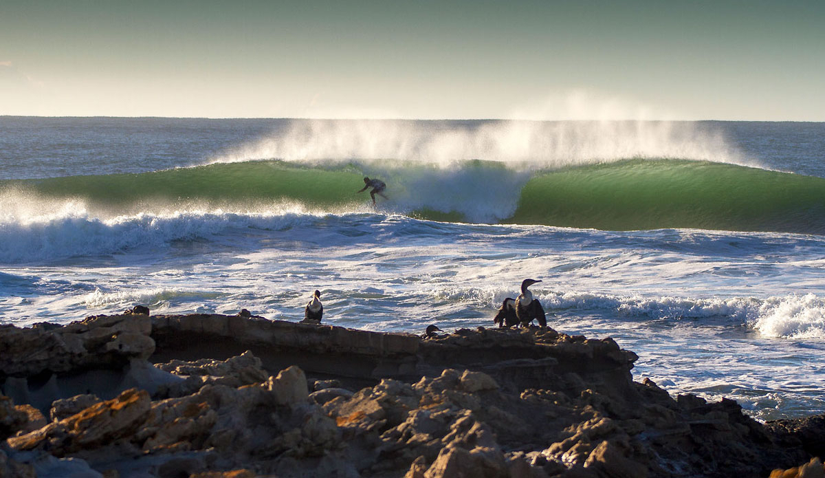 If you\'re up early you can always get waves to yourself. Nathan Gernetsky.  Photo: <a href=\"https://www.facebook.com/pages/Pho-Tye-Studio/398591356893177?fref=nf\"> Tyerell Jordaan</a> 