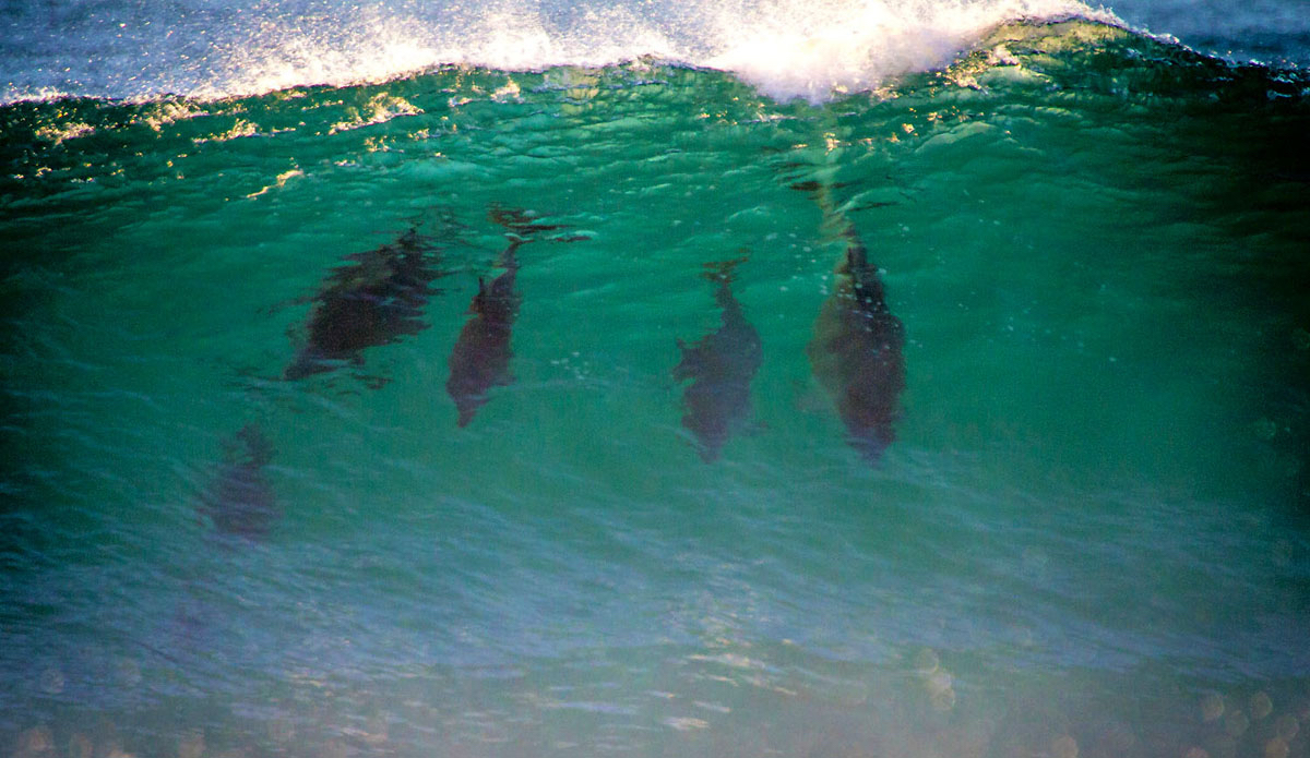 Family wave; best surfers out there.  Photo: <a href=\"https://www.facebook.com/pages/Pho-Tye-Studio/398591356893177?fref=nf\"> Tyerell Jordaan</a>