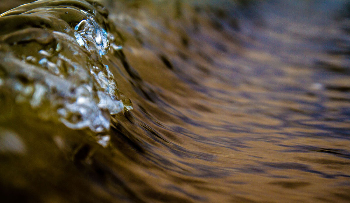 Micro beauty.  Photo: <a href=\"https://www.facebook.com/pages/Pho-Tye-Studio/398591356893177?fref=nf\"> Tyerell Jordaan</a>