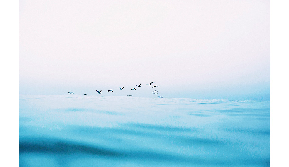 Locals. Photo: <a href=\"https://www.wjkessel.com/blog/\" target=_blank>Willie Kessel</a>