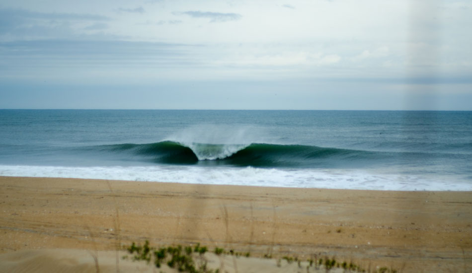 Photo: Wolfi Blackwood