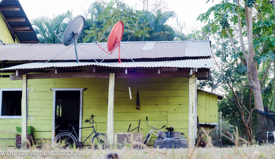 Photo: Wolfi Blackwood