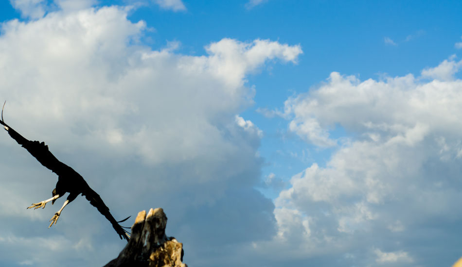 Photo: Wolfi Blackwood