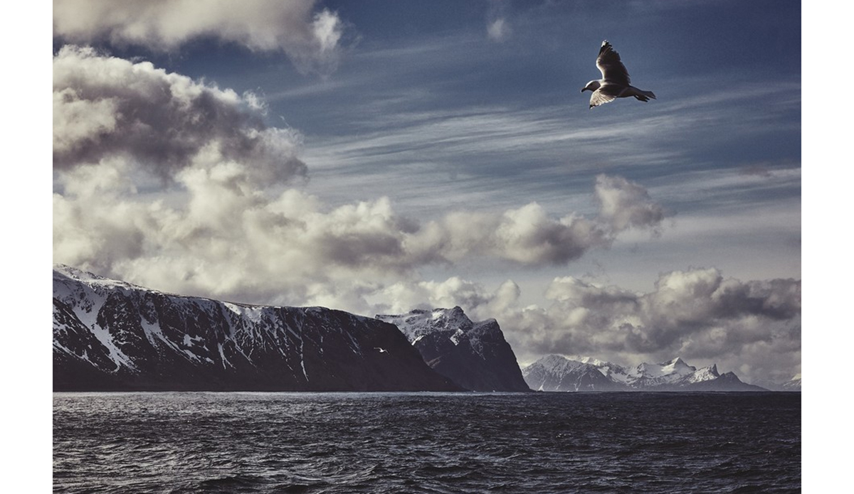 Photo: <a href=\"https://wndrs.com/\">Wonders via AndreSilva</a>