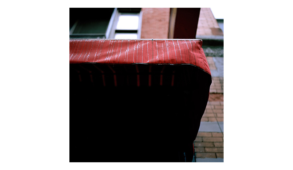 Photo: <a href=\"https://www.ynaoki.com/\" target=_blank>Wyatt 
Conlon</a>