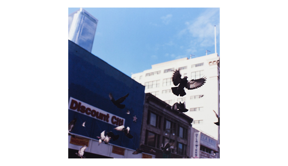 Photo: <a href=\"https://www.ynaoki.com/\" target=_blank>Wyatt 
Conlon</a>