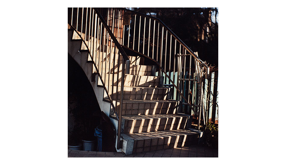 Photo: <a href=\"https://www.ynaoki.com/\" target=_blank>Wyatt 
Conlon</a>