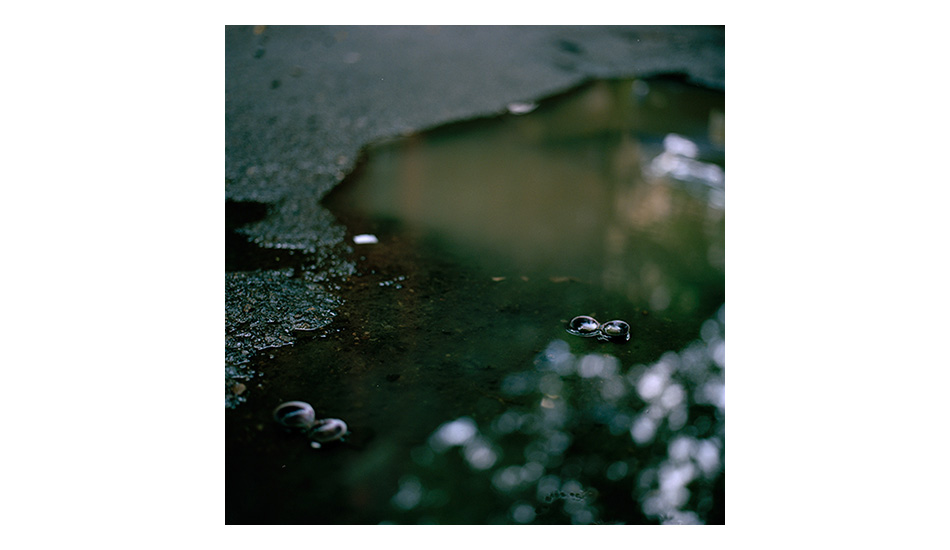 Photo: <a href=\"https://www.ynaoki.com/\" target=_blank>Wyatt 
Conlon</a>