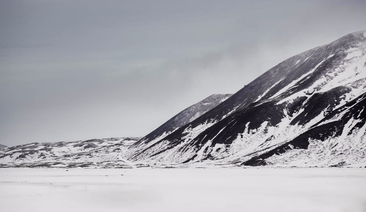 Photo: <a href=\"https://xavierportela.com/\">Xavier Portela</a>