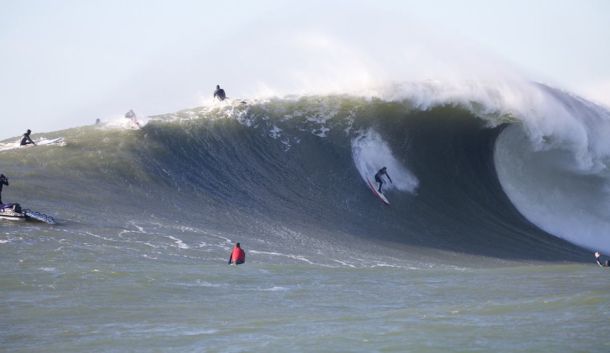 Photo: @ShannonReporting