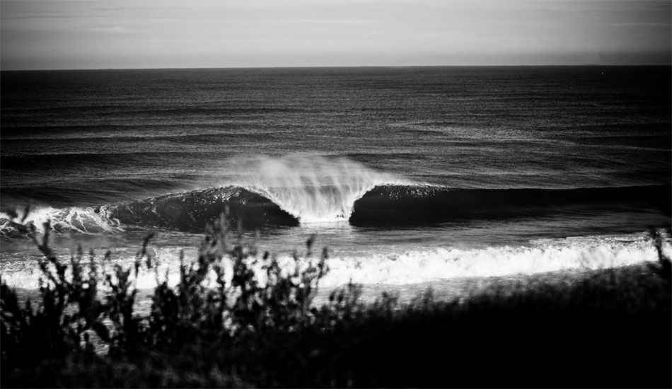 Autumn session. Landes 2008. Photo:<a href=\"https://www.yoannsegalen.fr/\" target=_blank>Yoann Segalen</a>.