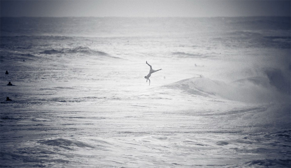 Unknown, taking flight. Photo:<a href=\"https://www.yoannsegalen.fr/\" target=_blank>Yoann Segalen</a>.