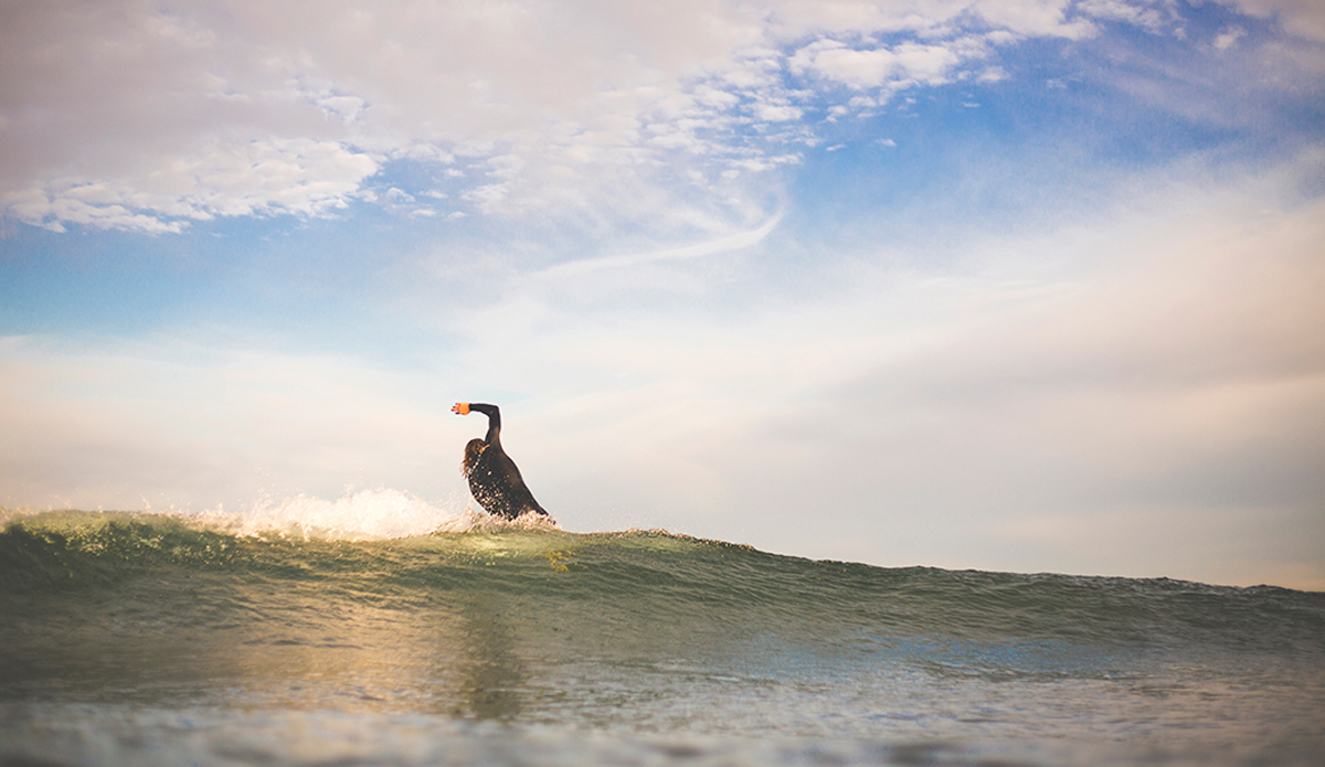 Harley Rubinstein.  Photo: Zac Dorio