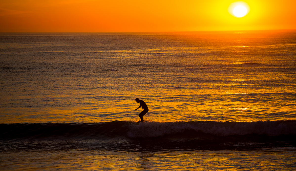 Jay Power perched at sunrise. Photo: Zac Dorio
