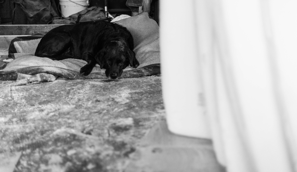 Photo: <a href=\"https://www.zyphotoz.com\">Zach Yeamans</a>