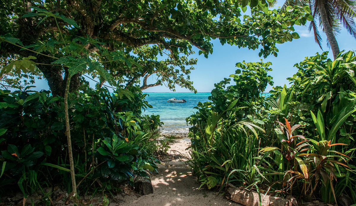 Back door views. Photo: Ricky Lesser