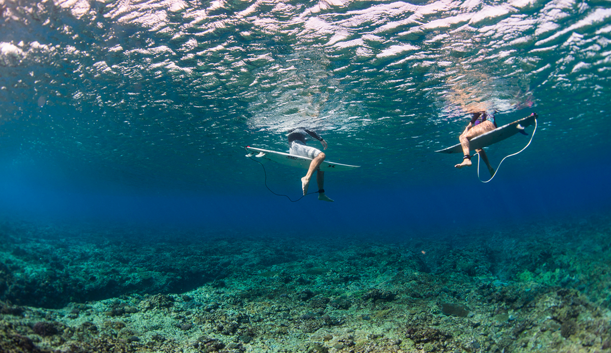 The waters in Fiji are exactly what you expect, crystal clear, warm and full of life. whether its massive schools of tang, 30 Lbs Uluas or the lonely reef shark cruising the drop offs, Fiji has got it all. Photo: Ricky Lesser