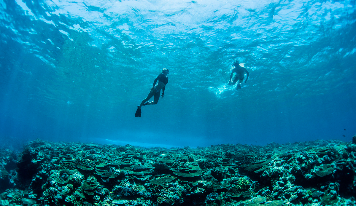 The diving along the coral coast is unbelievable. spot on to any south pacific rumors you may have heard. Photo: Ricky Lesser
