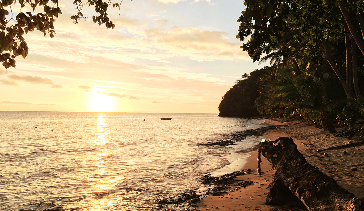 The backyard. Photo: Ricky Lesser