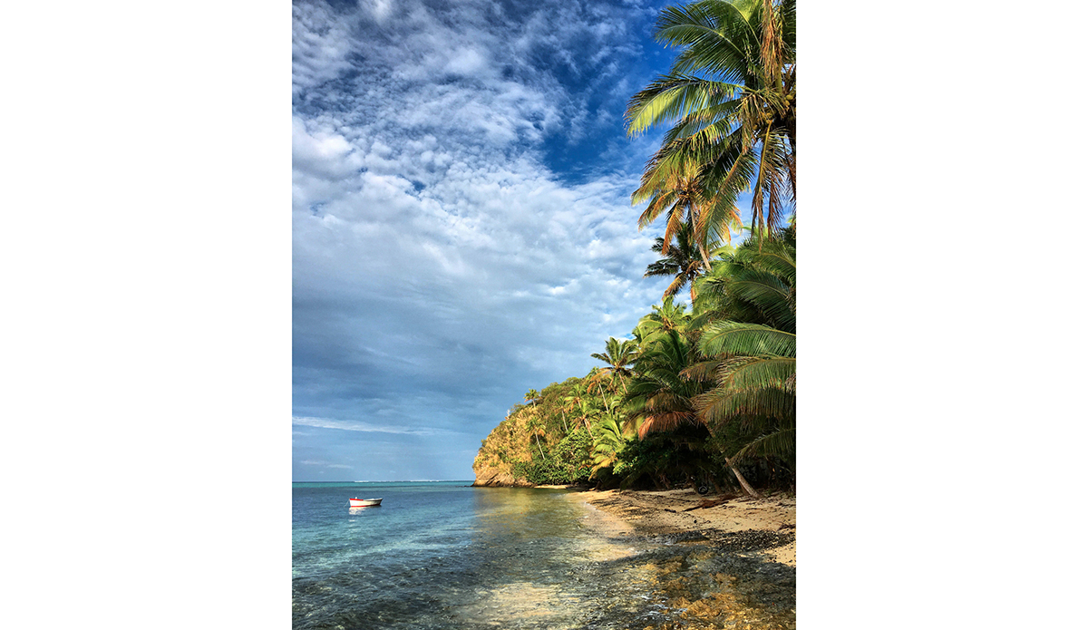 ...or front yard. Photo: Ricky Lesser