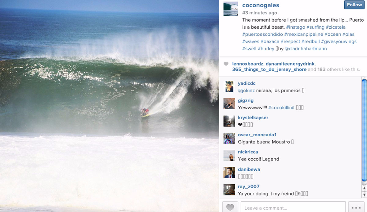 Photo: <a href=\"https://instagram.com/coconogales/\">@coconogales</a>