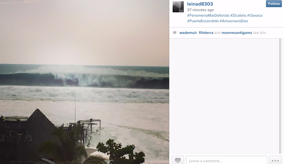 Photo: <a href=\"https://instagram.com/leinad8303/\">@leinad8303</a>