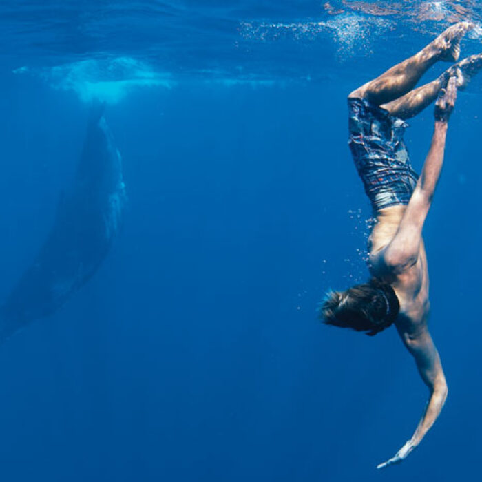 Surfers For Cetaceans ambassador Dave Rastovich gets up close and personal with a dying breed.