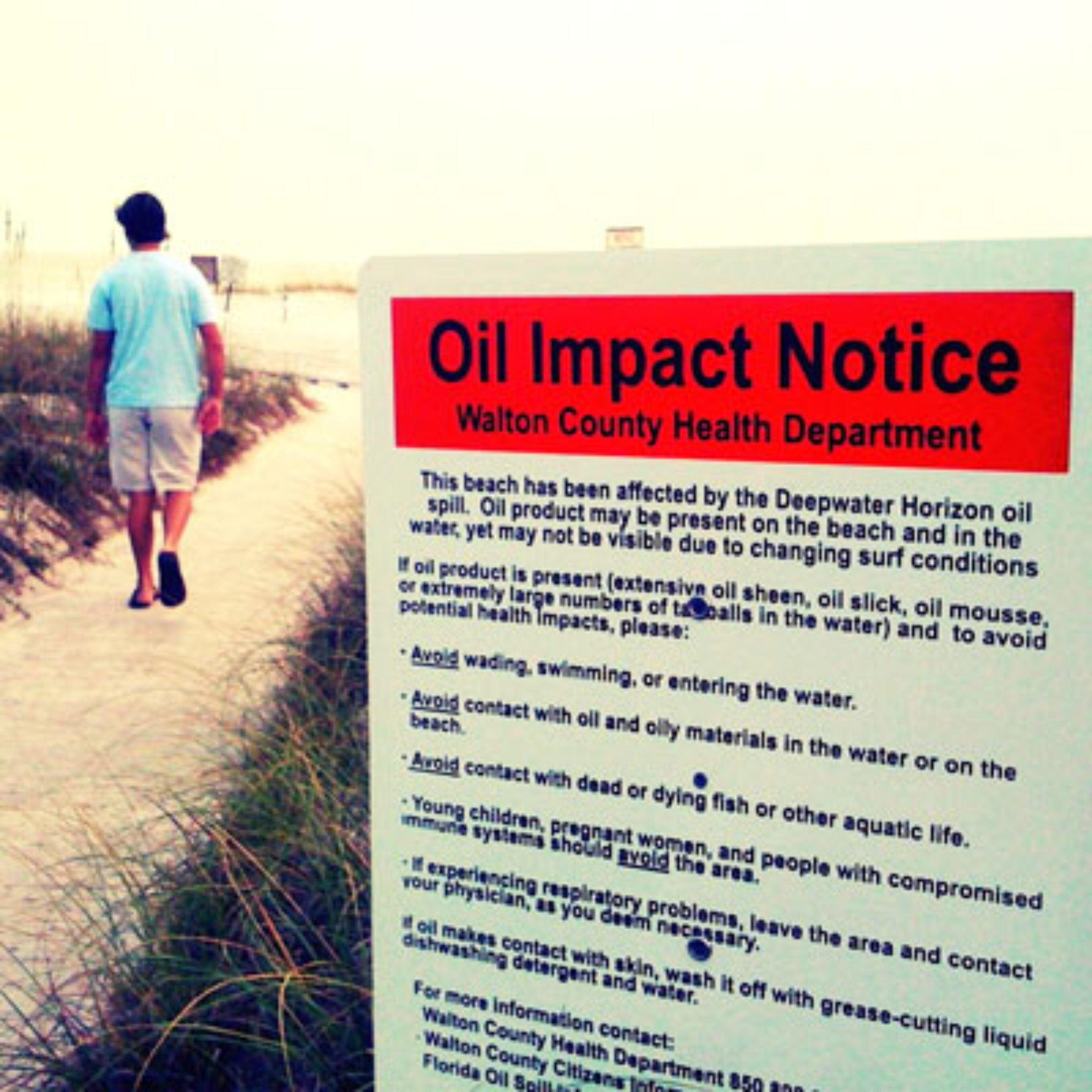 Oil Impact Notice in the Gulf of Mexico