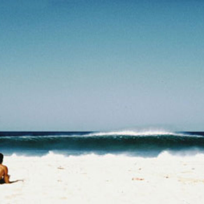 Matt Warshaw's The History of Surfing