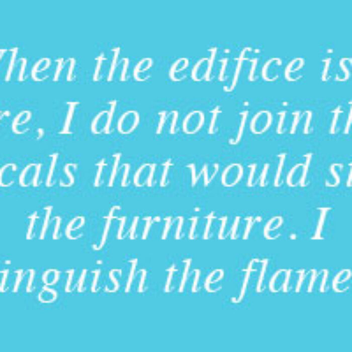 “When the edifice is on fire, I do not join the rascals that would steal the furniture. I extinguish the flames.” - George Jacque Danton