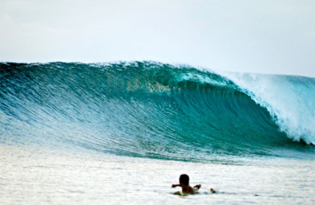 Perfect Empty Wave Surfer Surfing