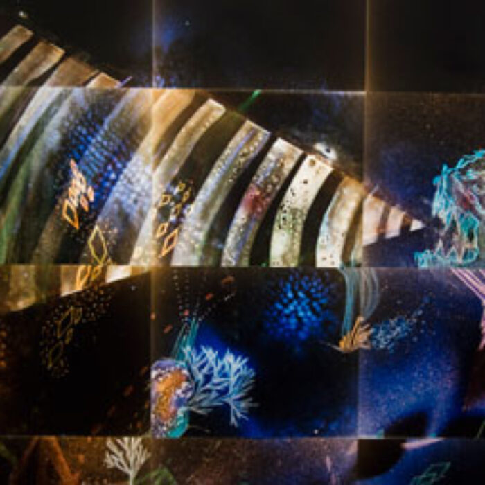 Cosmic Detail Christine Nguyen Artist C-Print