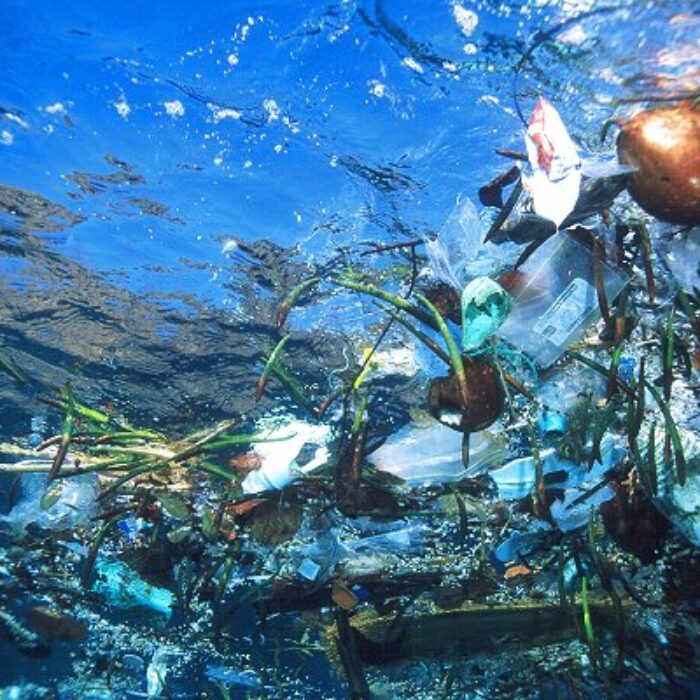 Ocean Pollution Trash