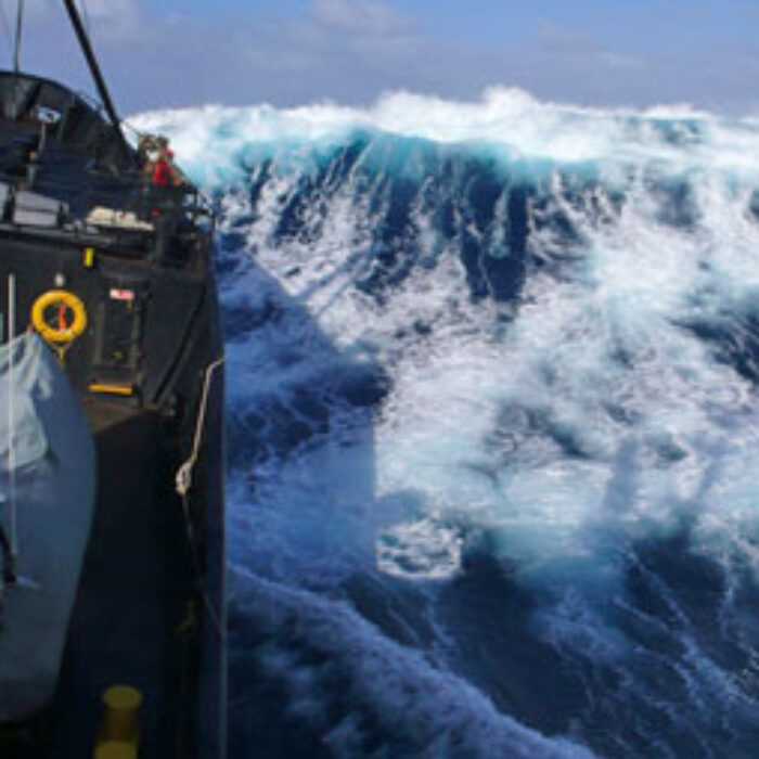 Japanese Whaling Zero Compromise Surfers For Cetaceans