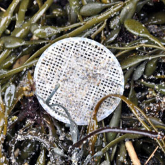 Sewage Pollution Discs New Hampshire