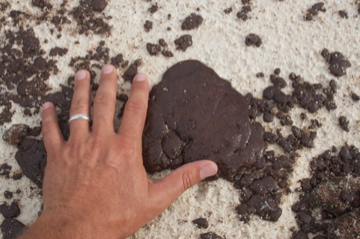 Oil in Gulf of Mexico