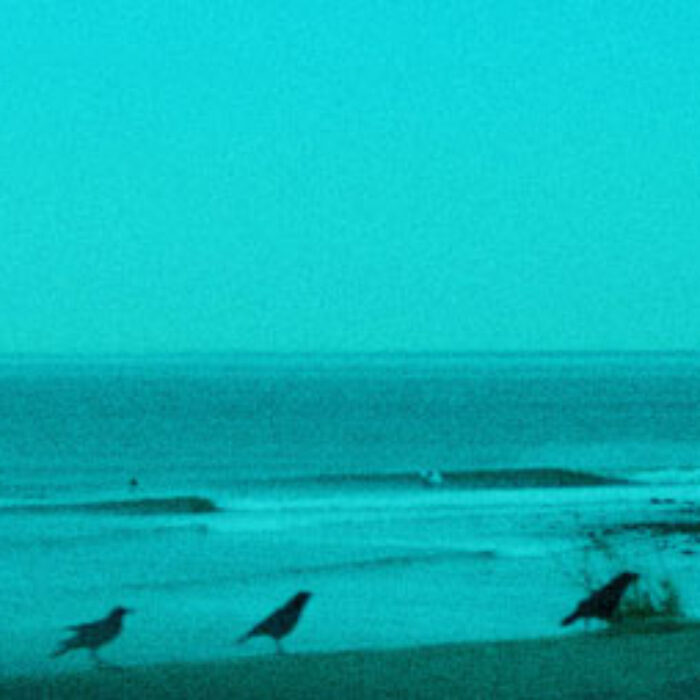 Empty Lineup Surf Topanga Point