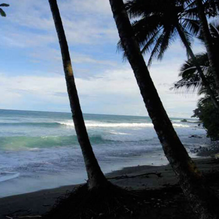surfing somewhere near here...