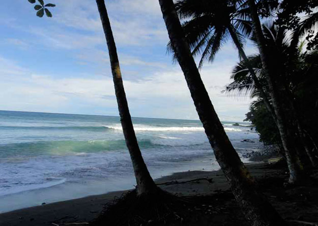 break surfing somewhere near here...