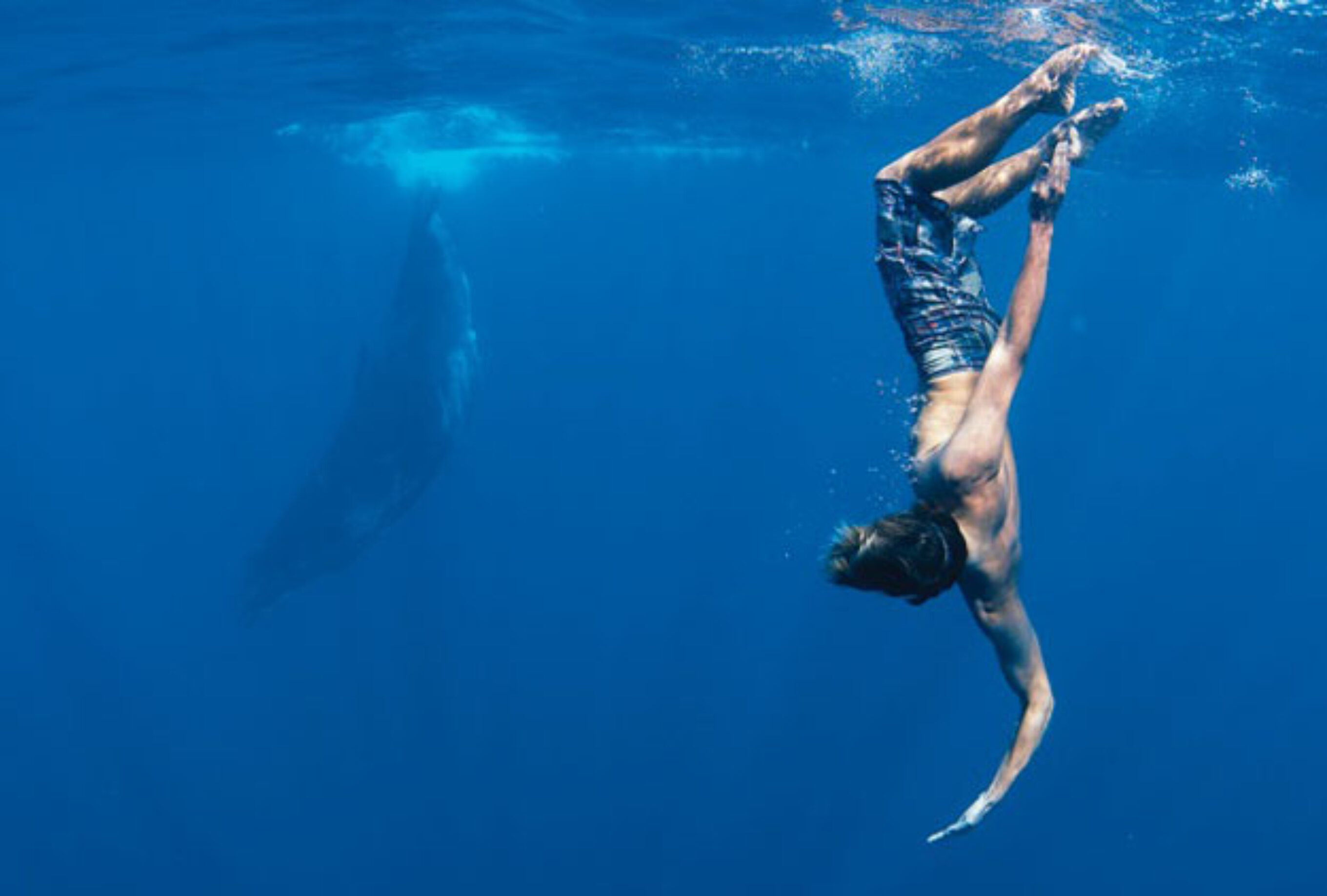 Dave Rastovich Minds In The Water